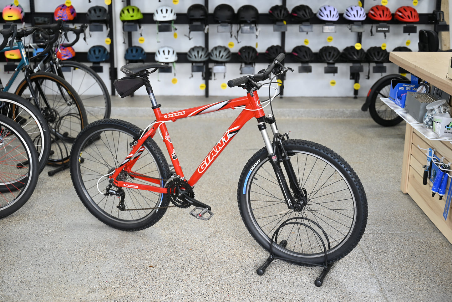 Giant Iguana, Medium, Pre-owned