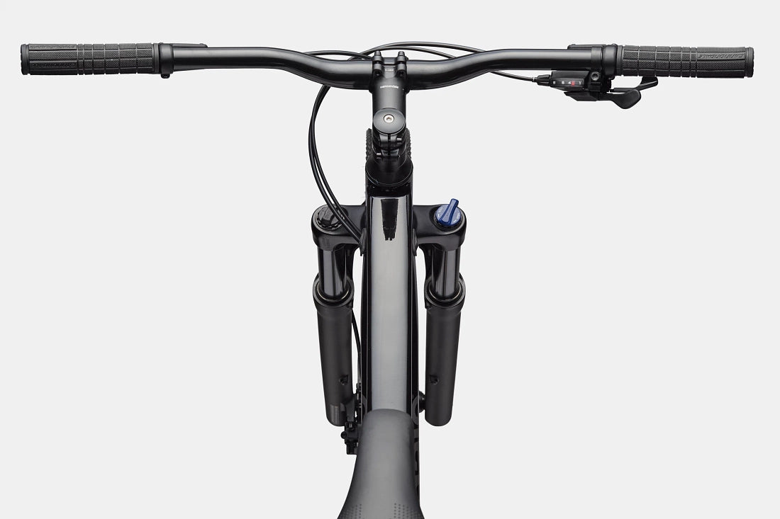Cannondale Trail 2