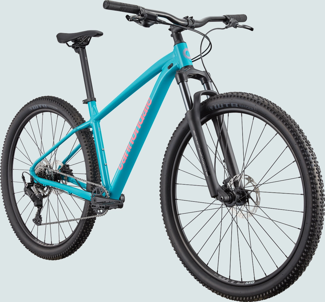 Cannondale Trail 2