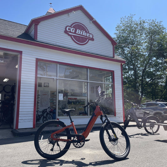 Vida E+ 28MPH S Caramel Cinnamon