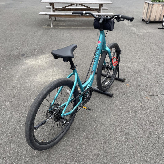 Momentum Vida, Large, Low Step, For riders 5'7" to 5'10