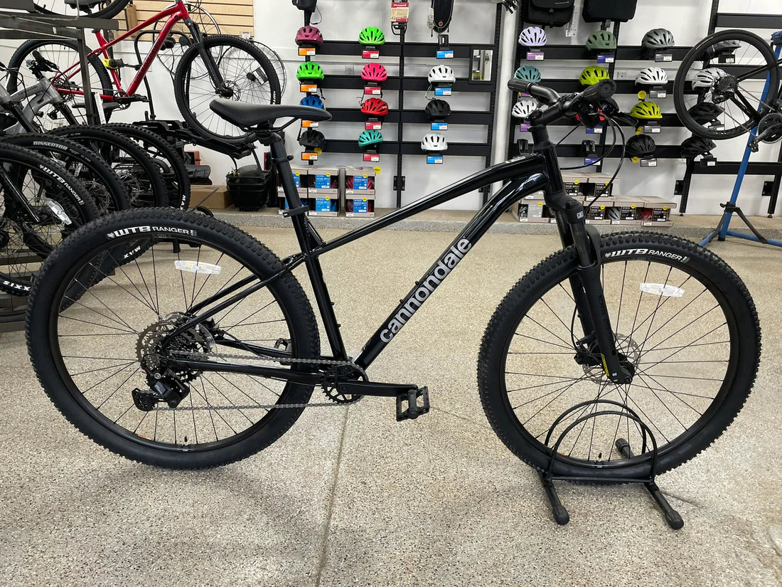 Mountain Bike, Cannondale Trail 2, Black, LARGE